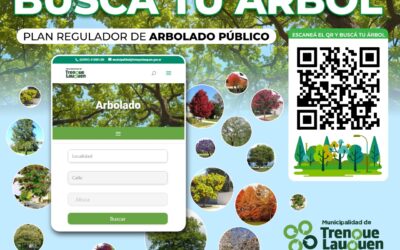 ARBOLADO URBANO: EL MUNICIPIO PUSO EN MARCHA LA APLICACIÓN PARA CONOCER QUÉ ÁRBOL CORRESPONDE A CADA VEREDA Y PROMOVER LA PLANTACIÓN