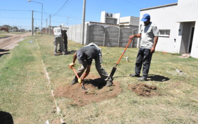 CAMPAÑA DE ARBOLADO: SE PLANTARON EJEMPLARES EN LA AMPLIACIÓN URBANA Y EN LA VEREDA DE LA FRTL UTN