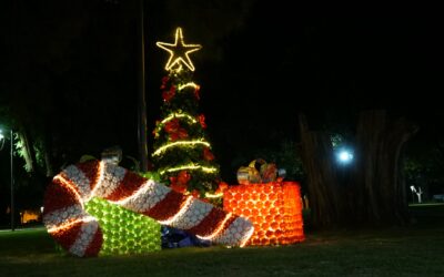 YA ESTÁN ENCENDIDOS LOS ARBOLITOS DE NAVIDAD EN LA CIUDAD DE TRENQUE LAUQUEN