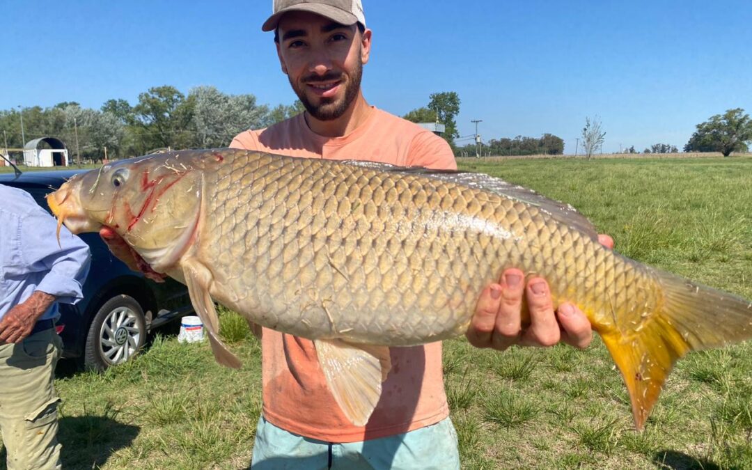 CONCURSO DE PESCA DE CARPA EN CUERO DE ZORRO: PABLO BUSTOS, DE COLONIA SERÉ, FUE EL GANADOR