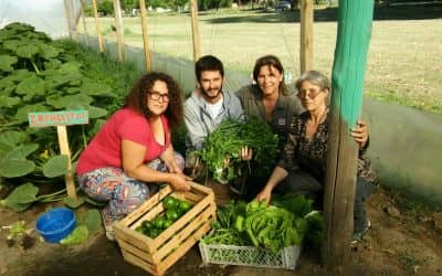 Productores de «El Gancho» venderán verduras orgánicas en Berutti