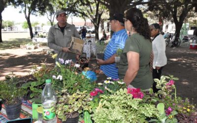 MAÑANA (SÁBADO) HABRÁ FERIA ECOFINES EN LA PLAZOLETA ALMIRANTE BROWN