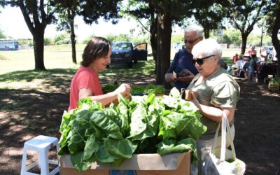 FERIA ECOFINES TRADICIONAL, MAÑANA (SÁBADO) EN LA PLAZOLETA ALMIRANTE BROWN