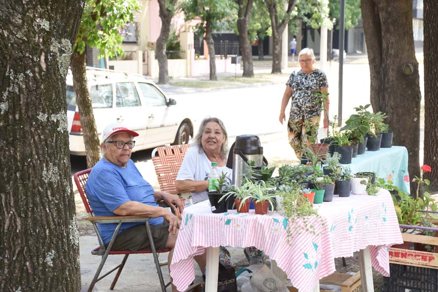 LA FERIA ECOFINES TRADICIONAL VOLVERÁ A REUNIR MAÑANA (SÁBADO) A EMPRENDEDORES Y VECINOS