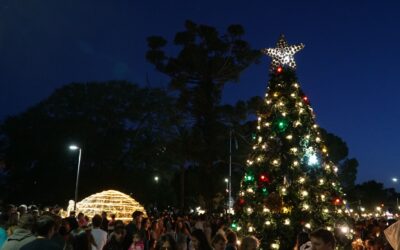 UNA MULTITUD VIVIÓ EL TRADICIONAL ENCENDIDO DEL ARBOLITO DE NAVIDAD EN LA PLAZA SAN MARTÍN