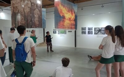 ALUMNOS/AS DE QUINTO AÑO DEL COLEGIO LOS MÉDANOS HICIERON UNA VISITA GUIADA AL MUMAV