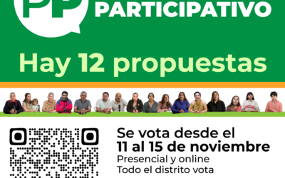 PRESUPUESTO PARTICIPATIVO: HAY 12 PROPUESTAS Y LA VOTACIÓN SERÁ DESDE EL LUNES 11 AL VIERNES 15