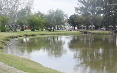 El Municipio retiró las carpas muertas a causa del calor y del bajo nivel de agua del Parque Municipal