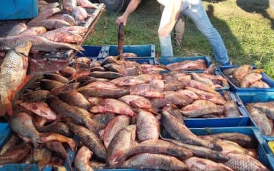Pesca: se trabajó en la formalización, valor agregado y nuevos mercados para el sector