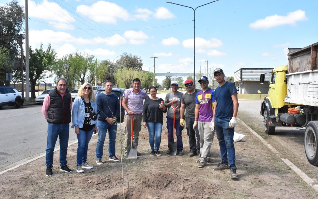 CON PLANTAS NATIVAS SE FORESTÓ LA RAMBLA DE ACCESO AL SECTOR INDUSTRIAL PLANIFICADO