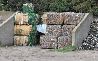 De enero a abril Prolim vendió más de 300 mil pesos en material reciclable