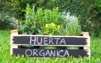 Se realizará un taller de huerta orgánica en Berutti