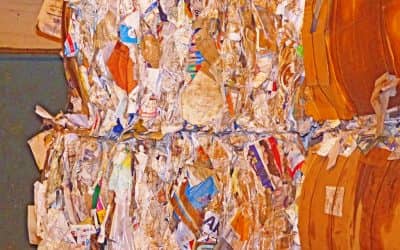 PROLIM: Venta de material reciclable de Agosto