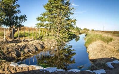 Zambiasio recorrió caminos y canales hídricos en la zona rural