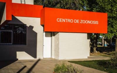 Zoonosis decomisó mercadería por falta de controles de Bromatología