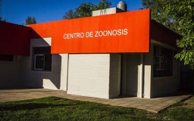 Zoonosis reitera el mensaje de prevención de análisis de triquinosos